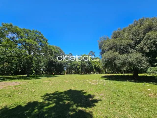 Granja en Altos con vistas al Lago Ypacarai - 5 Ha — foto 5