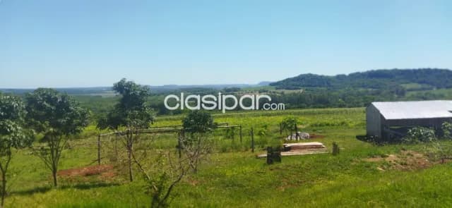 Propiedad de 20 has- SAN PEDRO DEL PARANA — foto 3
