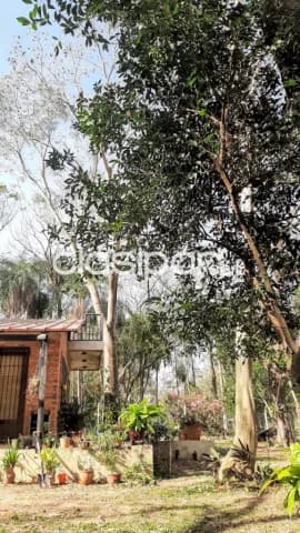 Casa en San Bernardino — foto 4
