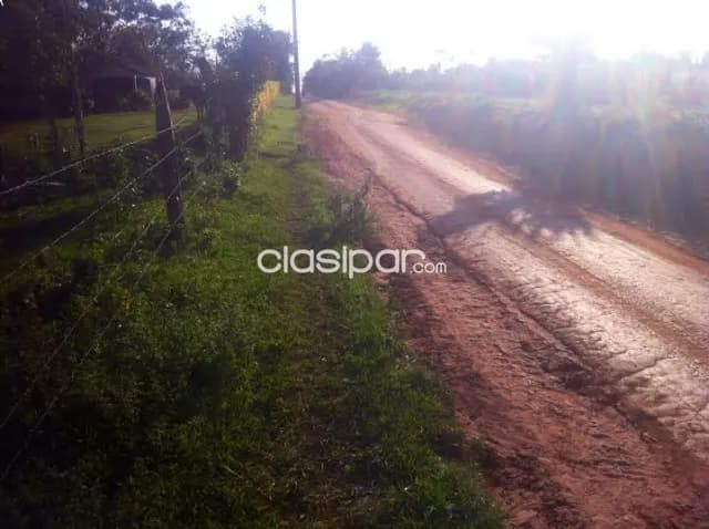 6 hectáreas en venta en Juan León Mallorquín, foto 3