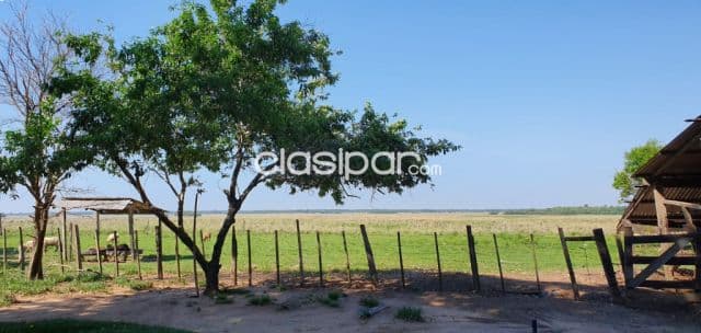 En venta campo 170 ha. - isla alta itapúa