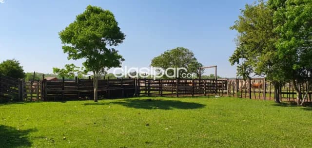 En venta campo 170 ha. - isla alta itapúa — foto 4