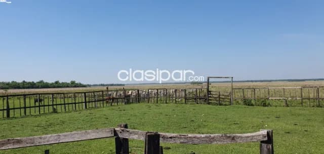 En venta campo 170 ha. - isla alta itapúa — foto 5