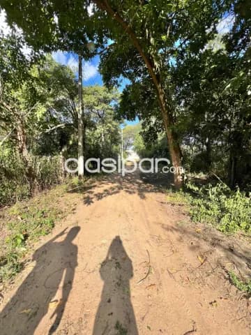 En Venta Terreno con Casa de Pezca a orillas del Río Paraguay V232 — foto 4