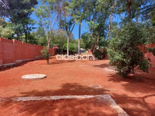 Lindo terreno 1300mtr2 Altos centro muralla 2.5m, foto 4