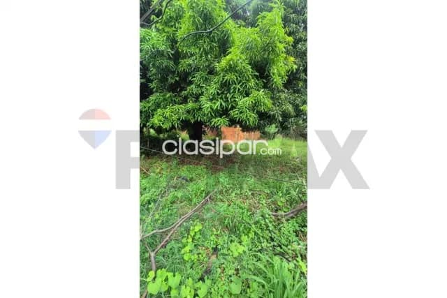 terreno accesible en Isla Bogado - Luque — foto 3