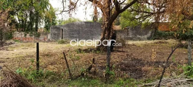 Terrenos en la ciudad de limpio — foto 2