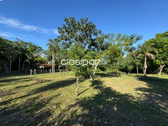 2 terrenos en San Bernardino - ciervo kua ‼️‼️ — foto 1
