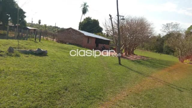 16 hectáreas en barrero grande, eusebio ayala cod 6104, foto 2