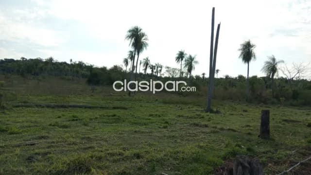 16 hectáreas en barrero grande, eusebio ayala cod 6104, foto 3