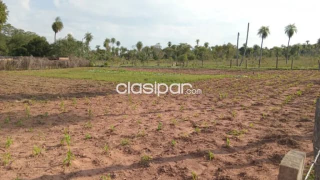 16 hectáreas en barrero grande, eusebio ayala cod 6104, foto 4