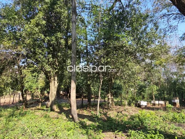 Terreno títulado vendo en Ñemby la lomita !! — foto 3