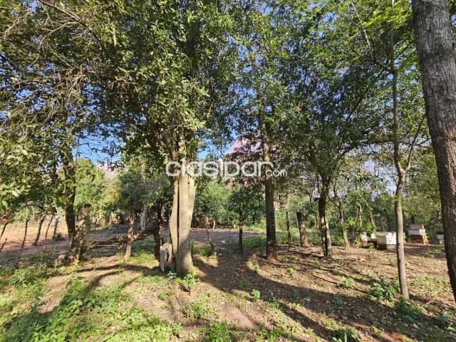 Terreno títulado vendo en Ñemby la lomita !! — foto 5