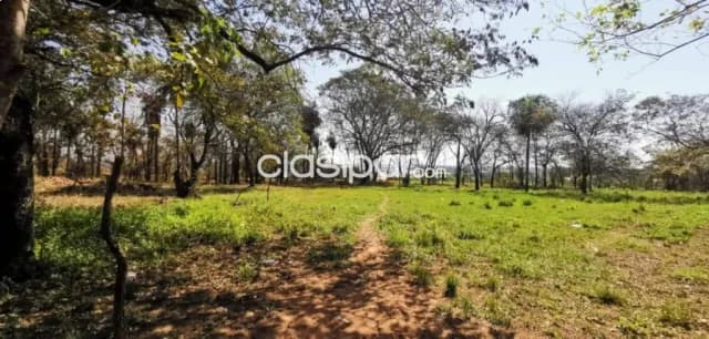 Terreno– Mariano Roque Alonso, foto 2