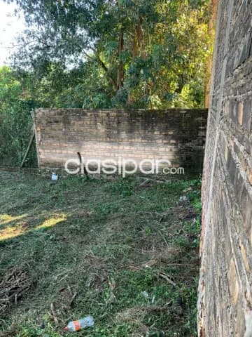 Tinglado en ypane, barrio san nicolas cod 5699, foto 5
