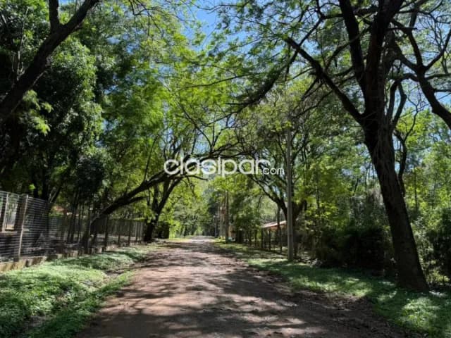 Terreno en surubi’i — foto 5