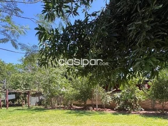 En venta amplio terreno en zarate isla, Luque — foto 5