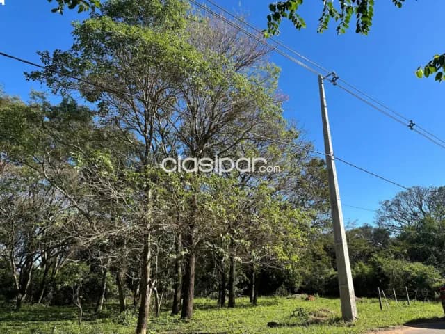 Terreno arborizado en la ciudad de caacupe en excelente ubicacion residencial, foto 3