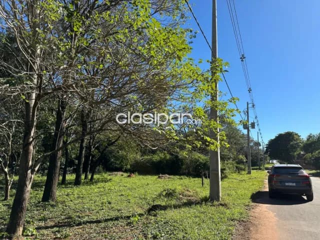 Terreno arborizado en la ciudad de caacupe en excelente ubicacion residencial, foto 4