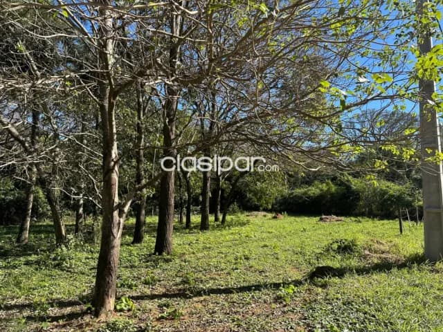 Terreno arborizado en la ciudad de caacupe en excelente ubicacion residencial, foto 5
