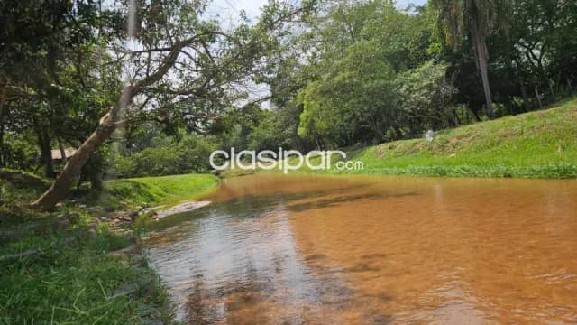 🌳 propiedad rural de 7,8 has sobre ruta y con arroyo en tobatí 🌳 — foto 4