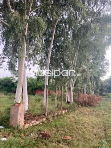 Guarambare/ acc. Sur: 3.240 m2 + 2 depósitos, increíble ubicación comercial, excelente pro, foto 3