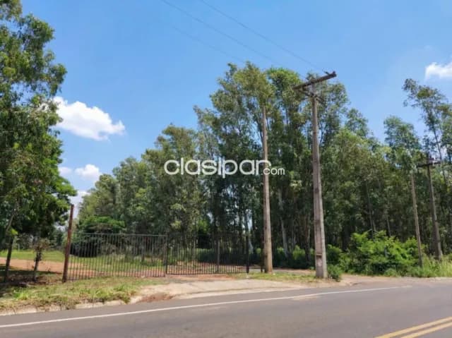 terreno de 1 hectárea con casa quinta en Villeta — foto 5