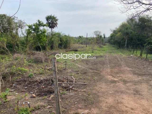 Oportunidad de inversión en Luque - 7 hectareas, foto 2
