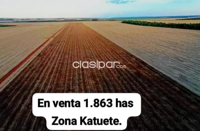 Katuete, corpus christi canindeyu: 1.860 has, tierra roja, alto rendimiento extensivo, exp, foto 2