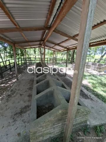 En Venta – Propiedad de 29 Hectáreas con Casa en La Colmena — foto 5