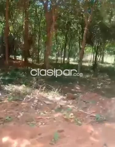 T147. Vendo!! Terreno en zarate isla — foto 4