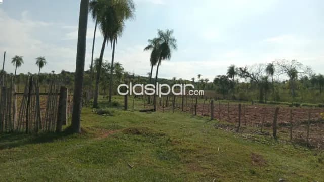 Hermosa propiedad de 16 hectáreas en barrero grande -eusebio ayala, foto 3