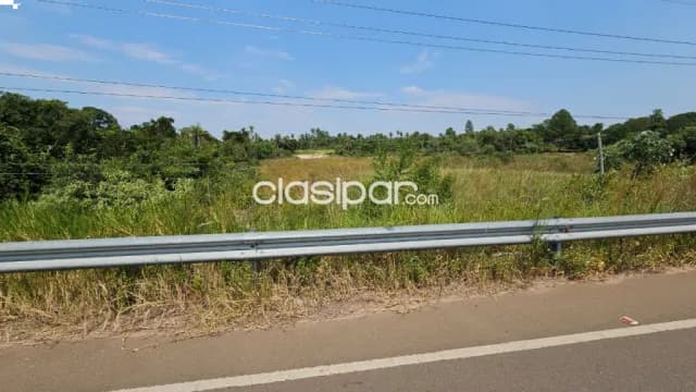 🌳propiedad rural de 7,8 has sobre ruta y con arroyo en tobatí🌳, foto 4