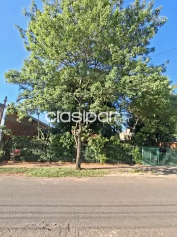 propiedad de 22 X 35 m2 en Luque zona plaza madero, foto 4