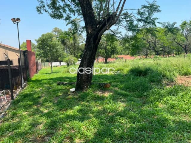 Terreno san antonio las garzas, foto 2