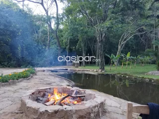 En paraguari - mbatovi....8 has — foto 5