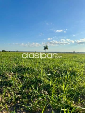 48 hectareas arroyos y esteros