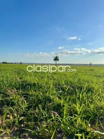 48 hectareas arroyos y esteros, foto 2