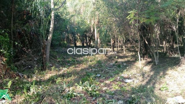 Terreno en San Bernardino Zona Anfiteatro