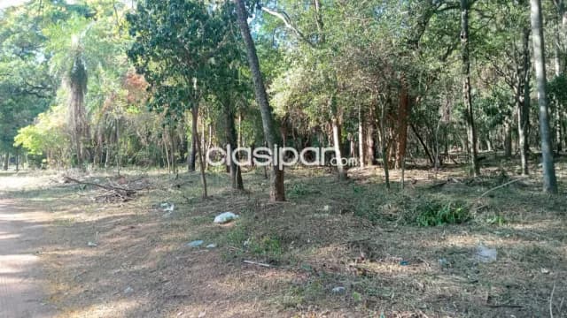 Terreno en San Bernardino Zona Anfiteatro — foto 3