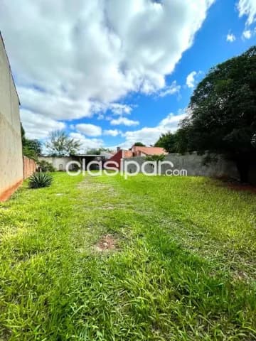 Terreno completamente amurallado en barrio san miguel de San Lorenzo, foto 5