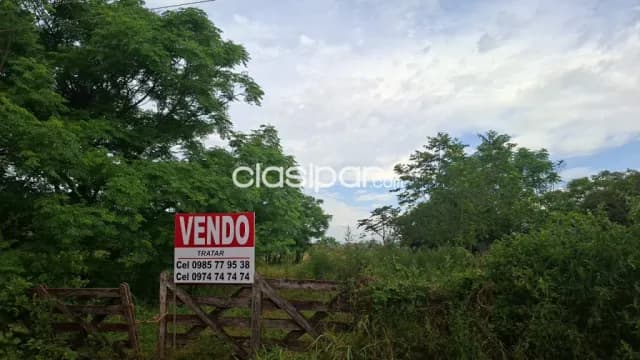 Propiedad agricola — foto 2