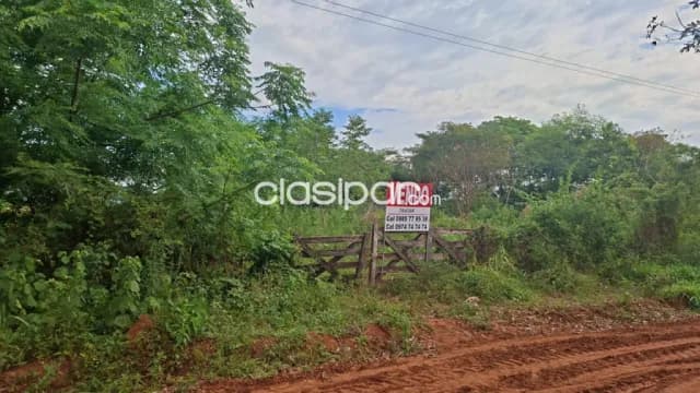 Propiedad agricola — foto 4