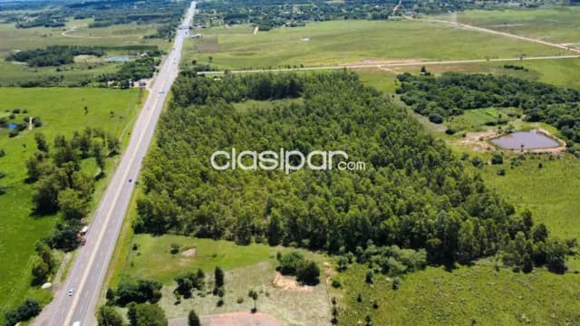 10 hectareas coronel oviedo — foto 4