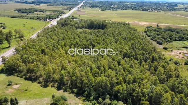 10 hectareas coronel oviedo — foto 5