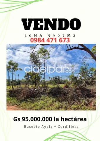 10 hectareas Eusebio Ayala - Cordillera, foto 2