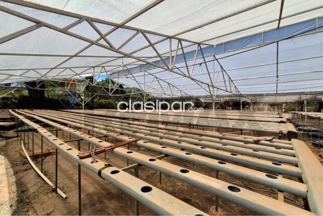 Terreno en capiata — foto 3