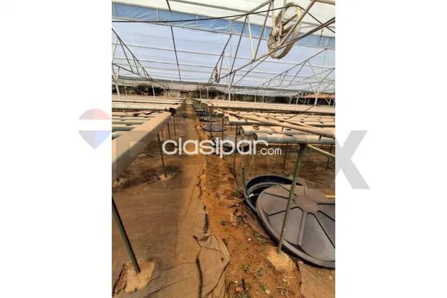 Terreno en capiata — foto 4