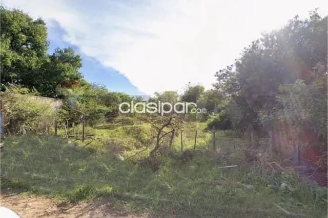 Terreno en Luque — foto 4