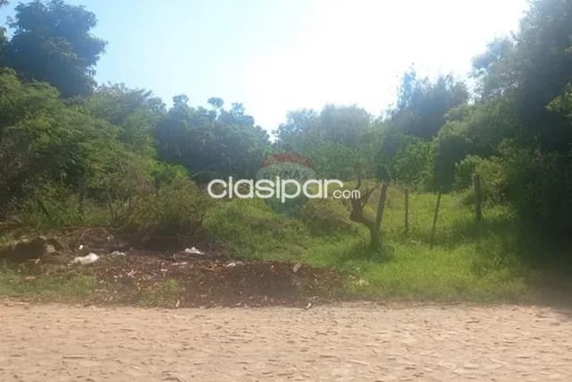 Terreno en Luque — foto 5
